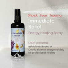 Load image into Gallery viewer, LTOE - Immediate Relief ~ Energy Cleansing Spray for Shock & Trauma