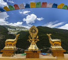 Load image into Gallery viewer, Tibetan Blessed Sakya-pa Divine Water Incense (Purify Neg Energy/Obstacles) 白古寺 萨迦神水熏香~净化/除障粉