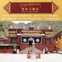 Load image into Gallery viewer, Grade A - Tibetan Incense Tsurphu Monastary (Karmapa) 一级 藏香 楚布寺(大宝法王)