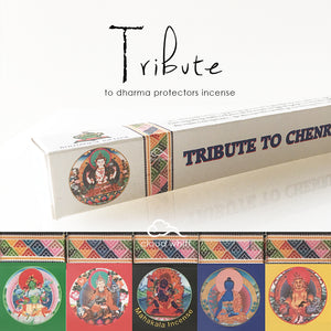 Tribute to Dharma Protectors Incense (DRUK)