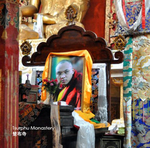 Grade A - Tibetan Backflow Incense (Tsurphu Monastery - Karmapa)