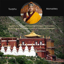 Load image into Gallery viewer, Grade A - Tibetan Backflow Incense (Tsurphu Monastery - Karmapa)
