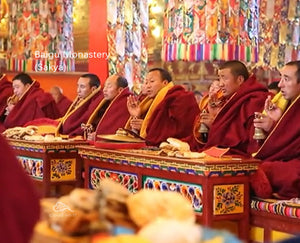 Tibetan Blessed Smoke Offering Baigu Monastery(Sakya) 藏传加持烟供粉~萨迦