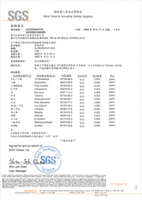 Load image into Gallery viewer, Anti-Epidemic Purification Powder &amp; Mini Burner (Red/Black line) 防疫粉 熏香炉套~迷你烧碳炉 (红黑线）
