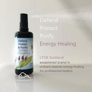 LTOE - Defend Protect & Purify ~ Energy Healing Spray